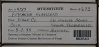 Image Associated With the Occurence